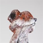 The Fox in the Wind – Russet
