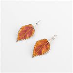 Silver elm leaf earrings