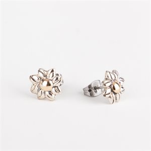 Silver earring decorated with gold, flower model on studs 