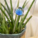 Aérateur à plante en verre - 29