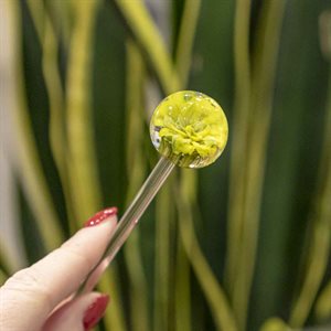 Aérateur à plante en verre - 33
