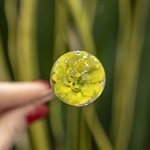 Aérateur à plante en verre - 33