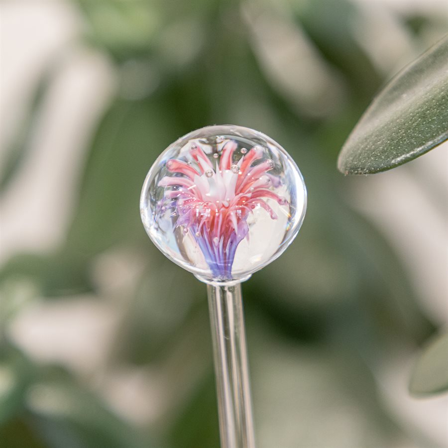 Aérateur à plante en verre - 37