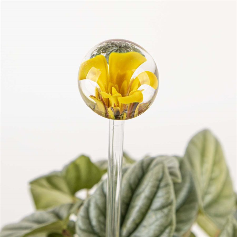 Aérateur à plante en verre - 29